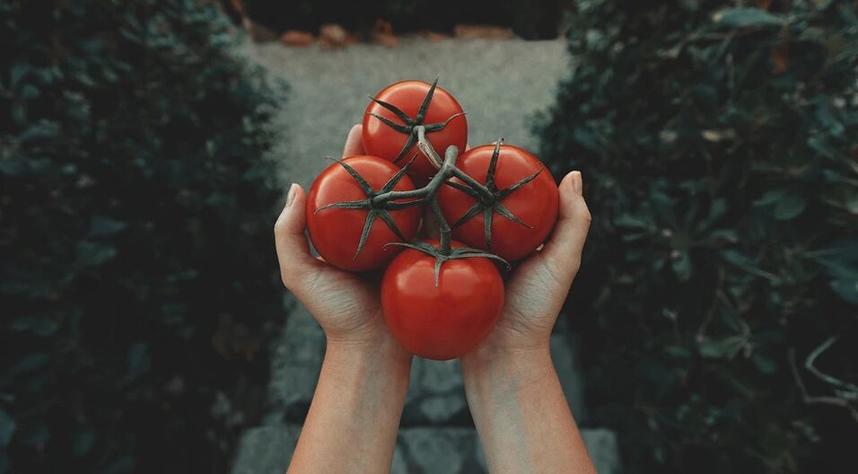 Tomaten reduzieren das Risiko für Prostatakrebs